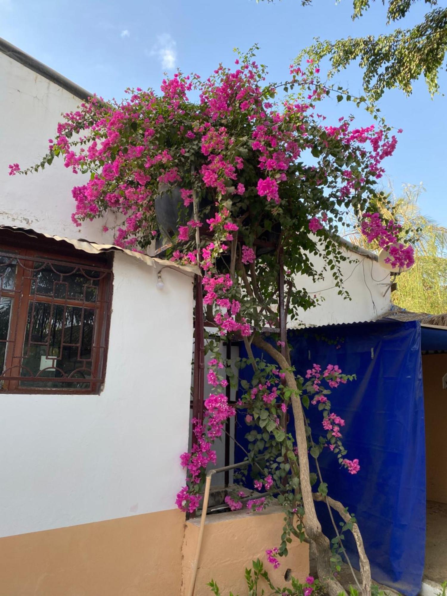 La Case Africaine Saly Portudal Exterior foto